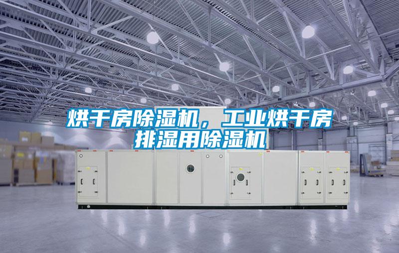 烘干房除濕機,工業(yè)烘干房排濕用除濕機