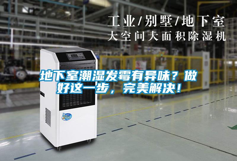 地下室潮濕發霉有異味？做好這一步，完美解決！