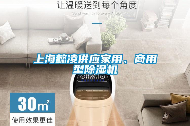 上海懿凌供應(yīng)家用、商用型除濕機(jī)