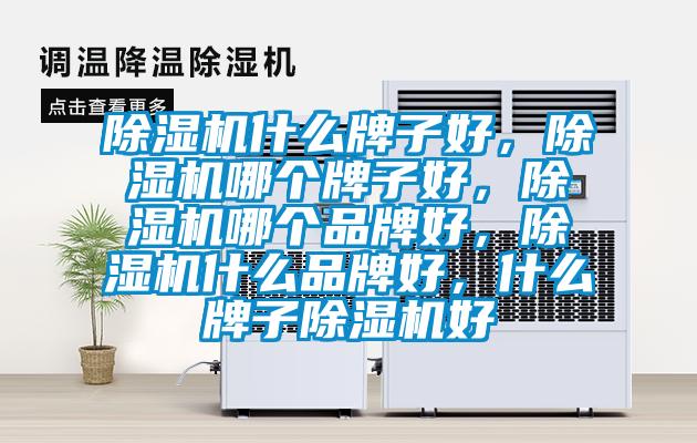 除濕機什么牌子好，除濕機哪個牌子好，除濕機哪個品牌好，除濕機什么品牌好，什么牌子除濕機好