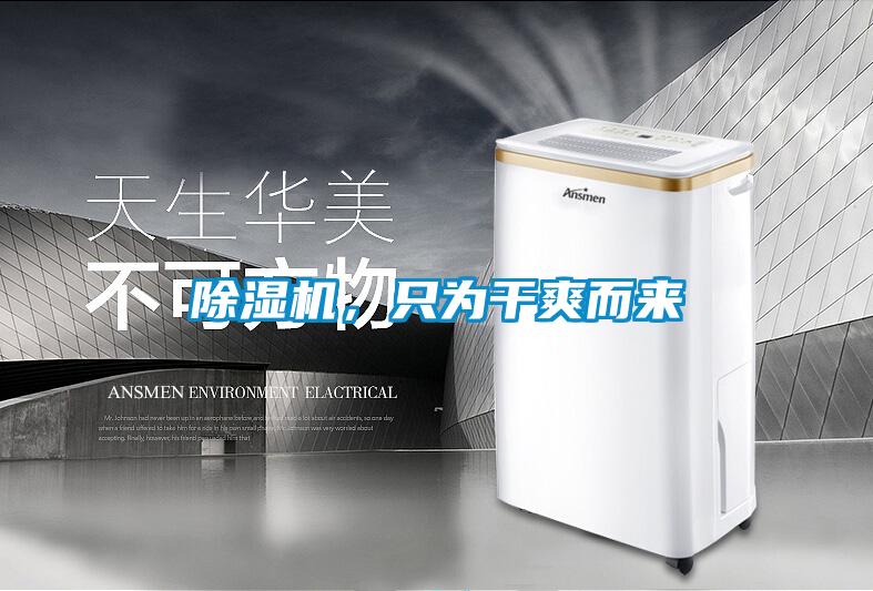 除濕機(jī),只為干爽而來