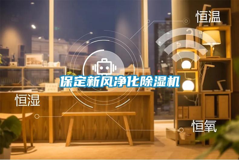保定新風(fēng)凈化除濕機(jī)