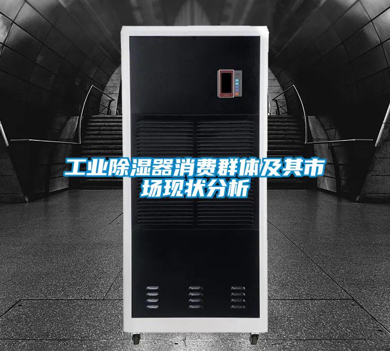 工業(yè)除濕器消費群體及其市場現(xiàn)狀分析
