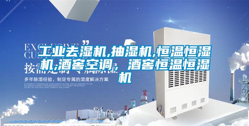 工業去濕機,抽濕機,恒溫恒濕機,酒窖空調,酒窖恒溫恒濕機
