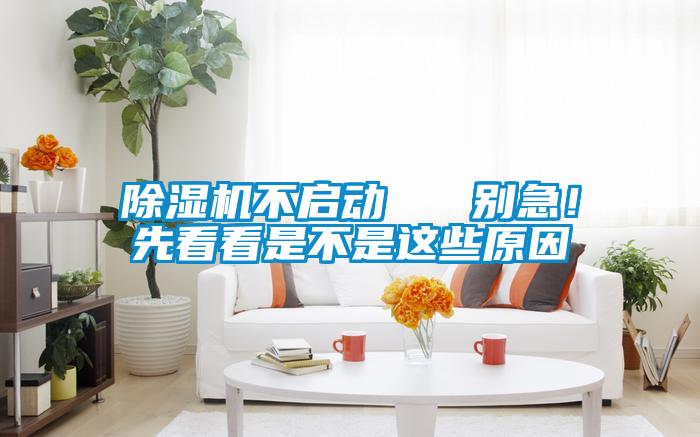 除濕機不啟動   別急！先看看是不是這些原因