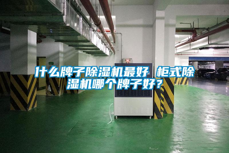 什么牌子除濕機(jī)最好 柜式除濕機(jī)哪個牌子好?