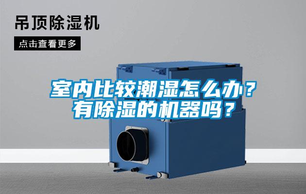 室內(nèi)比較潮濕怎么辦？有除濕的機器嗎？