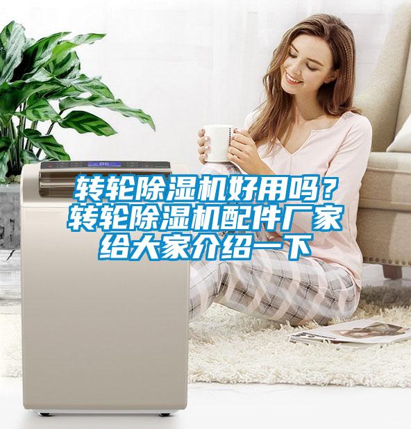 轉(zhuǎn)輪除濕機(jī)好用嗎?轉(zhuǎn)輪除濕機(jī)配件廠家給大家介紹一下
