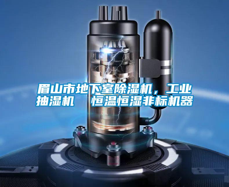 眉山市地下室除濕機，工業抽濕機  恒溫恒濕非標機器
