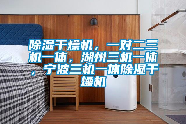 除濕干燥機，一對二三機一體，湖州三機一體，寧波三機一體除濕干燥機