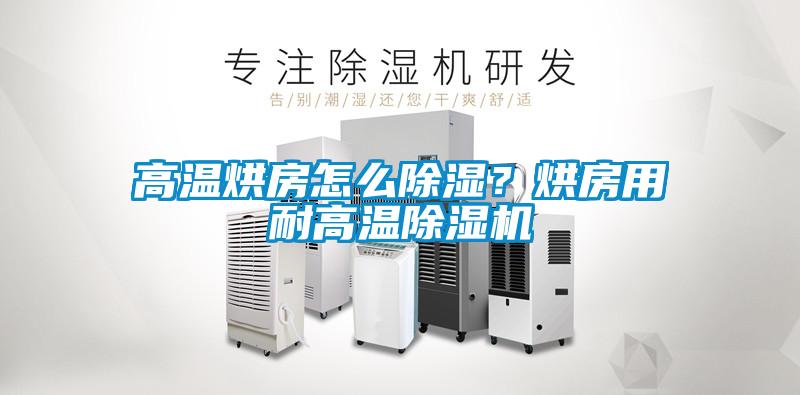 高溫烘房怎么除濕?烘房用耐高溫除濕機