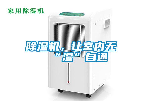 除濕機,讓室內(nèi)無“濕”自通