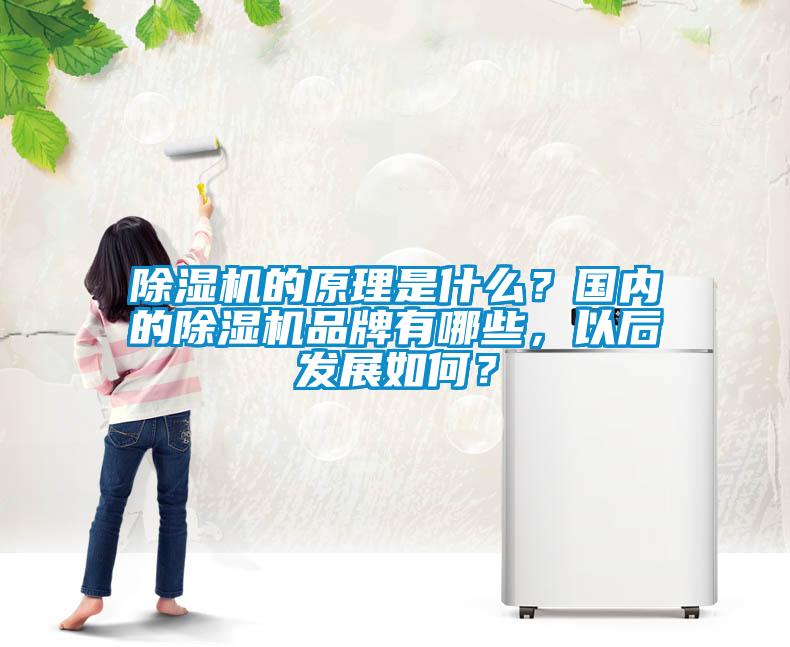 除濕機的原理是什么？國內的除濕機品牌有哪些，以后發(fā)展如何？