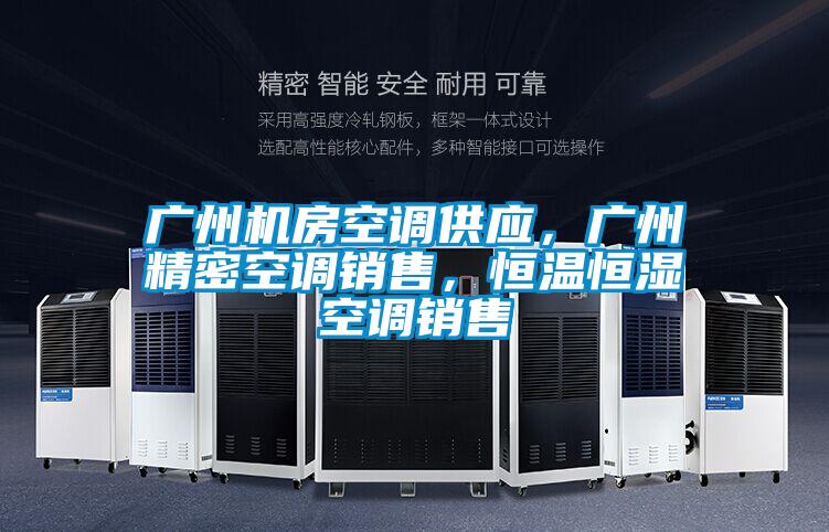 廣州機(jī)房空調(diào)供應(yīng),廣州精密空調(diào)銷售,恒溫恒濕空調(diào)銷售