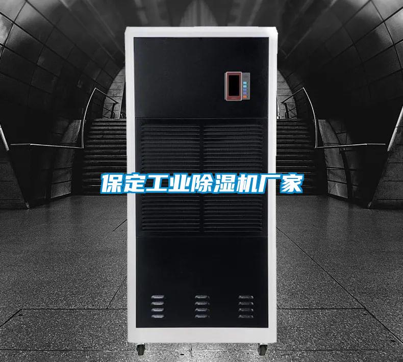保定工業(yè)除濕機(jī)廠家