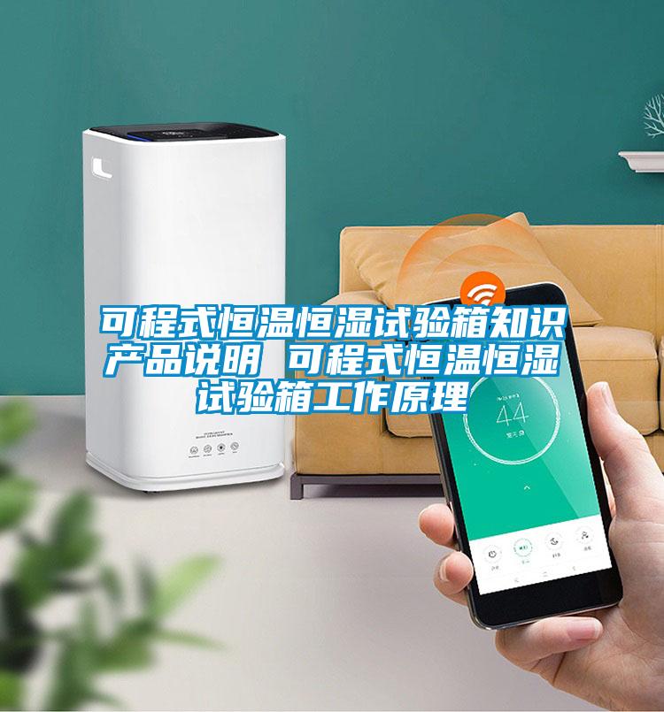 可程式恒溫恒濕試驗(yàn)箱知識產(chǎn)品說明 可程式恒溫恒濕試驗(yàn)箱工作原理
