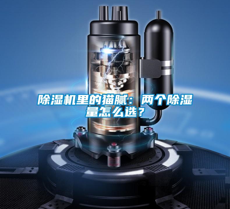 除濕機(jī)里的貓膩：兩個(gè)除濕量怎么選？
