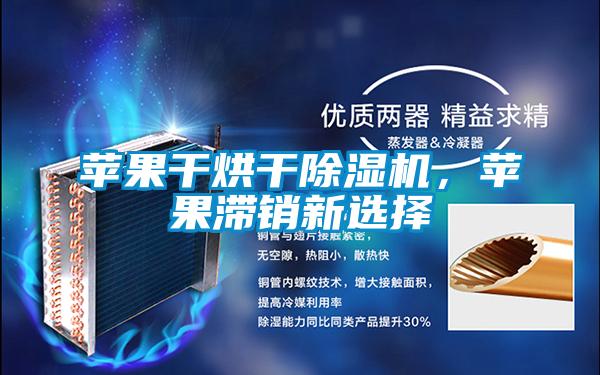 蘋果干烘干除濕機,蘋果滯銷新選擇
