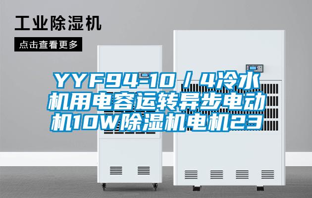 YYF94-10/4冷水機(jī)用電容運轉(zhuǎn)異步電動機(jī)10W除濕機(jī)電機(jī)23
