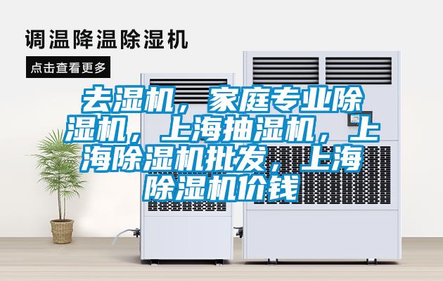 去濕機，家庭專業除濕機，上海抽濕機，上海除濕機批發，上海除濕機價錢