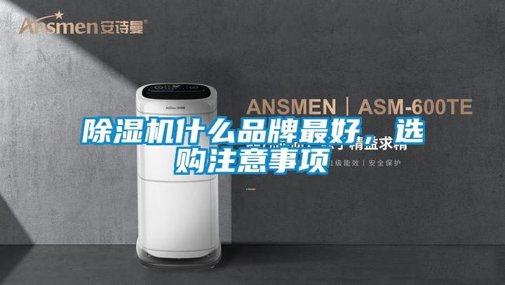 除濕機(jī)什么品牌最好,選購注意事項(xiàng)