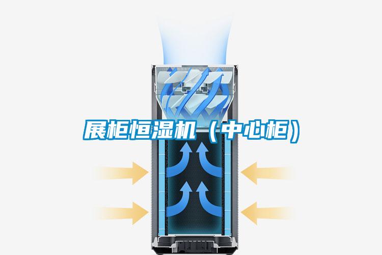 展柜恒濕機(jī)(中心柜)