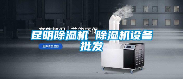 昆明除濕機 除濕機設(shè)備批發(fā)