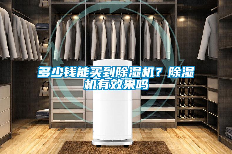 多少錢能買到除濕機？除濕機有效果嗎
