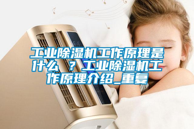工業除濕機工作原理是什么 ？工業除濕機工作原理介紹_重復