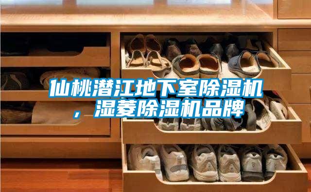 仙桃潛江地下室除濕機，濕菱除濕機品牌