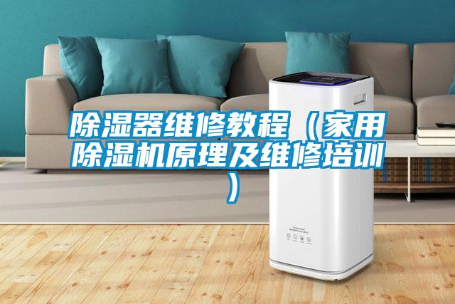 除濕器維修教程(家用除濕機(jī)原理及維修培訓(xùn))