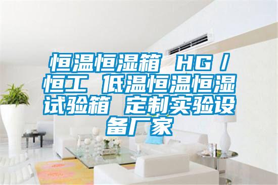 恒溫恒濕箱 HG/恒工 低溫恒溫恒濕試驗箱 定制實驗設備廠家