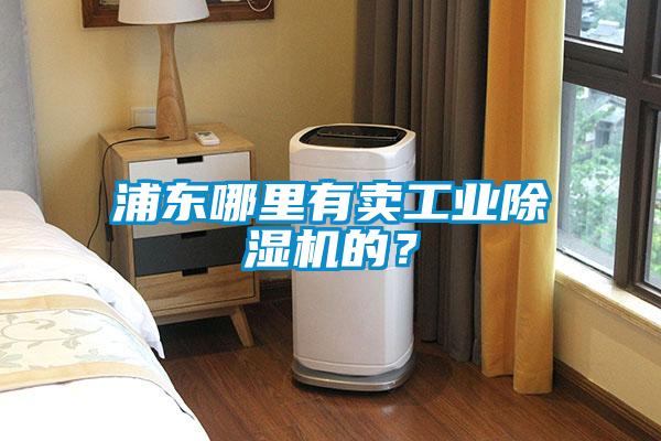 浦東哪里有賣(mài)工業(yè)除濕機(jī)的？