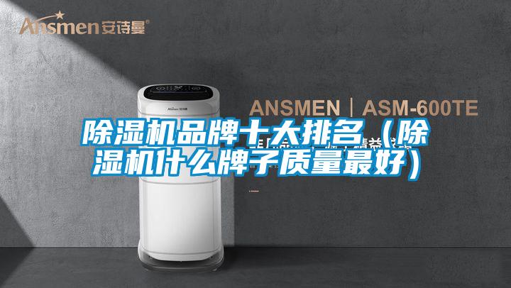 除濕機品牌十大排名（除濕機什么牌子質(zhì)量最好）