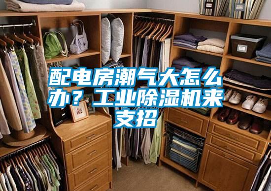配電房潮氣大怎么辦?工業(yè)除濕機(jī)來支招