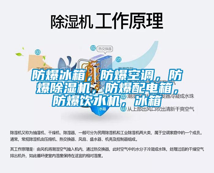 防爆冰箱,防爆空調(diào),防爆除濕機,防爆配電箱,防爆飲水機,冰箱