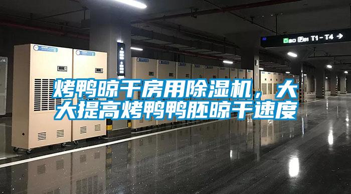 烤鴨晾干房用除濕機(jī),大大提高烤鴨鴨胚晾干速度