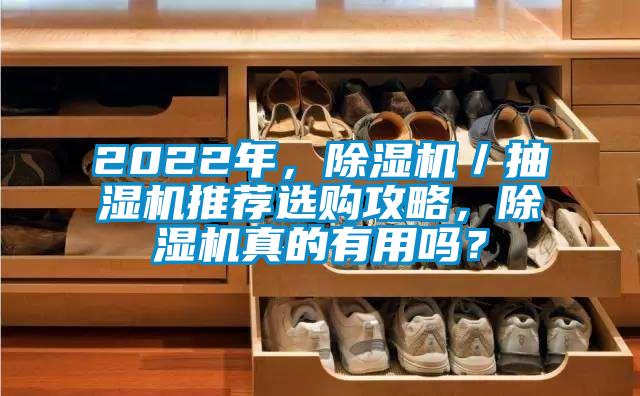2022年，除濕機／抽濕機推薦選購攻略，除濕機真的有用嗎？