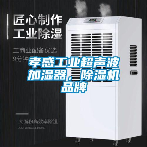 孝感工業(yè)超聲波加濕器,除濕機品牌
