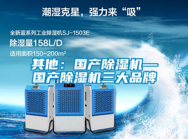 其他:國產除濕機—國產除濕機三大品牌