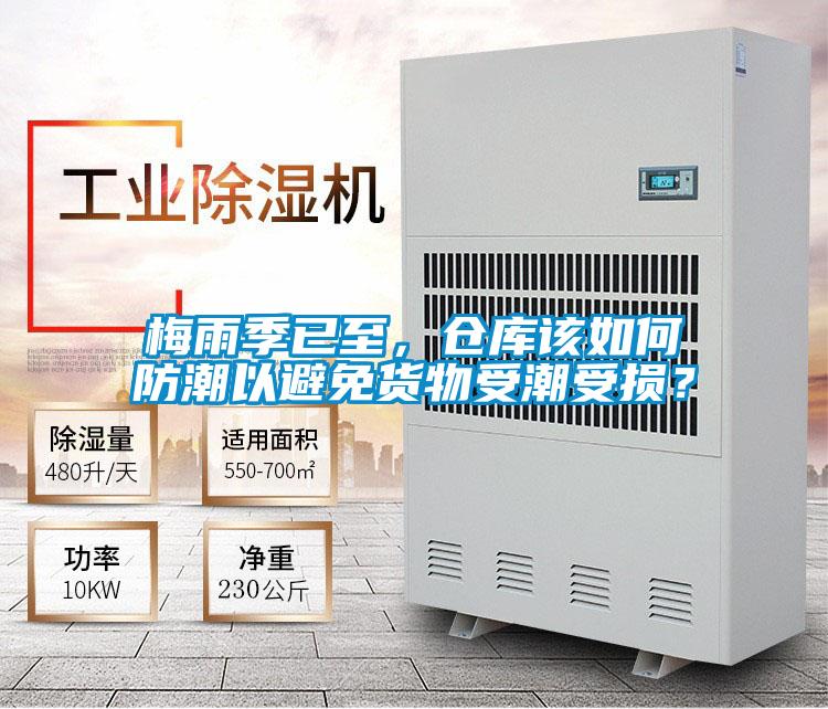 梅雨季已至,倉庫該如何防潮以避免貨物受潮受損?