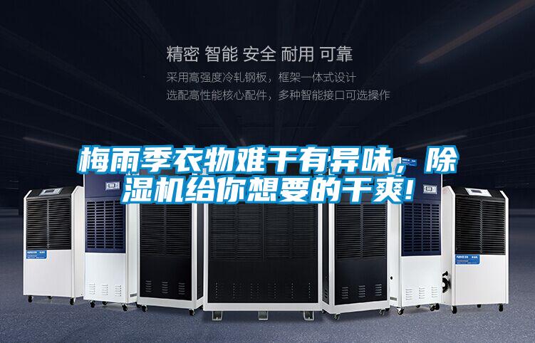 梅雨季衣物難干有異味，除濕機給你想要的干爽!