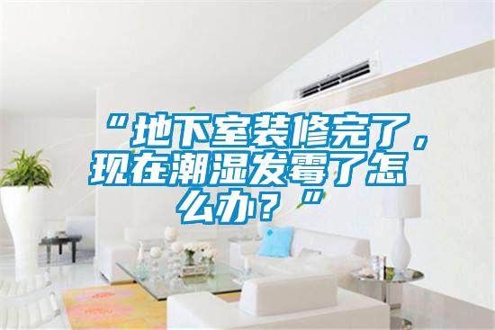 “地下室裝修完了，現(xiàn)在潮濕發(fā)霉了怎么辦？”