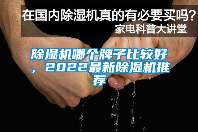 除濕機哪個牌子比較好，2022最新除濕機推薦