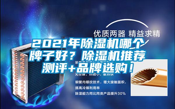 2021年除濕機哪個牌子好？除濕機推薦測評+品牌選購！