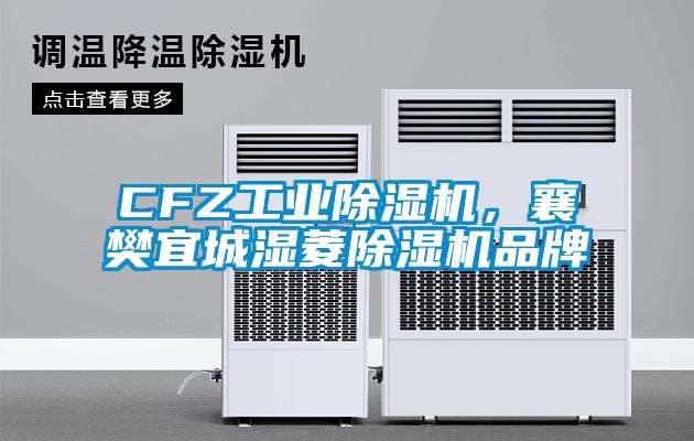 CFZ工業除濕機，襄樊宜城濕菱除濕機品牌