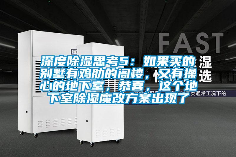 深度除濕思考5：如果買的別墅有雞肋的閣樓，又有操心的地下室，恭喜，這個(gè)地下室除濕魔改方案出現(xiàn)了