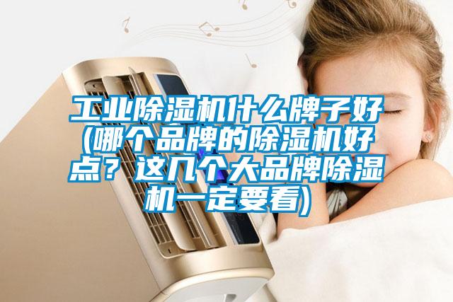 工業除濕機什么牌子好(哪個品牌的除濕機好點？這幾個大品牌除濕機一定要看)