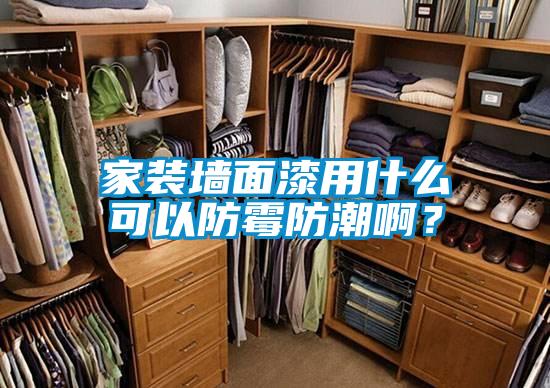家裝墻面漆用什么可以防霉防潮啊?