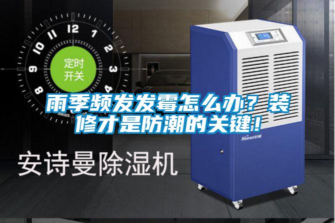 雨季頻發發霉怎么辦？裝修才是防潮的關鍵！